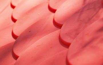 Thorp plastic roof costs